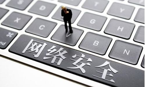 網(wǎng)絡(luò)安全與電子商務(wù) 計(jì)算機(jī)技術(shù)的關(guān)鍵交匯點(diǎn)